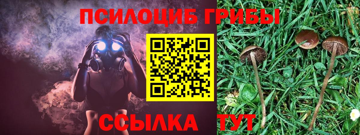 Галлюциногенные грибы прущие грибы  Галлюциногенные грибы Psilocybine cubensis  Вход с VPN  Сургут 